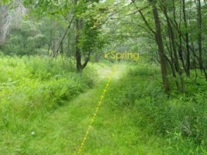 S_springtrail