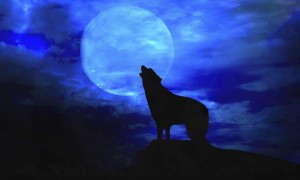 wolf moon