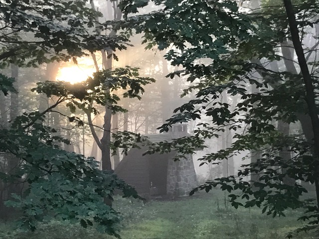 Photo courtesy of Tina Gray-Petrick