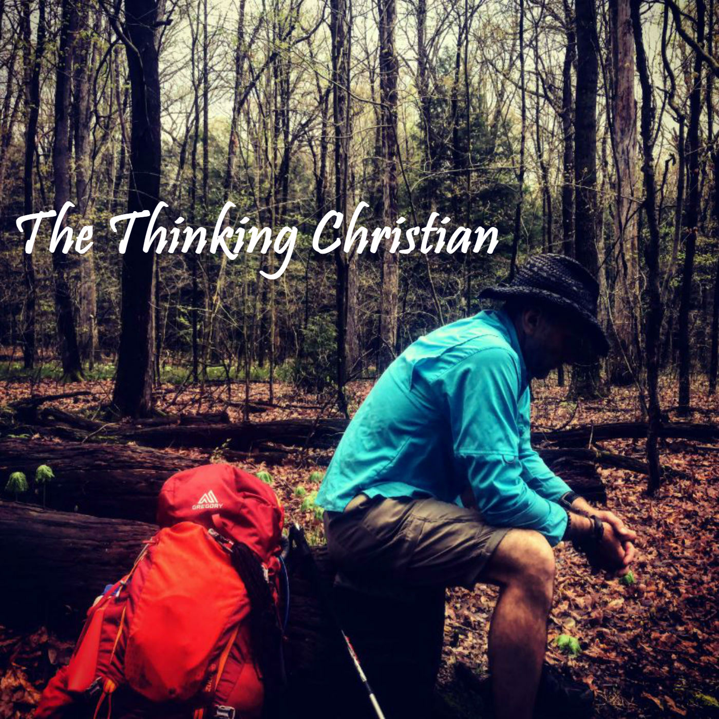 The Thinking Christian